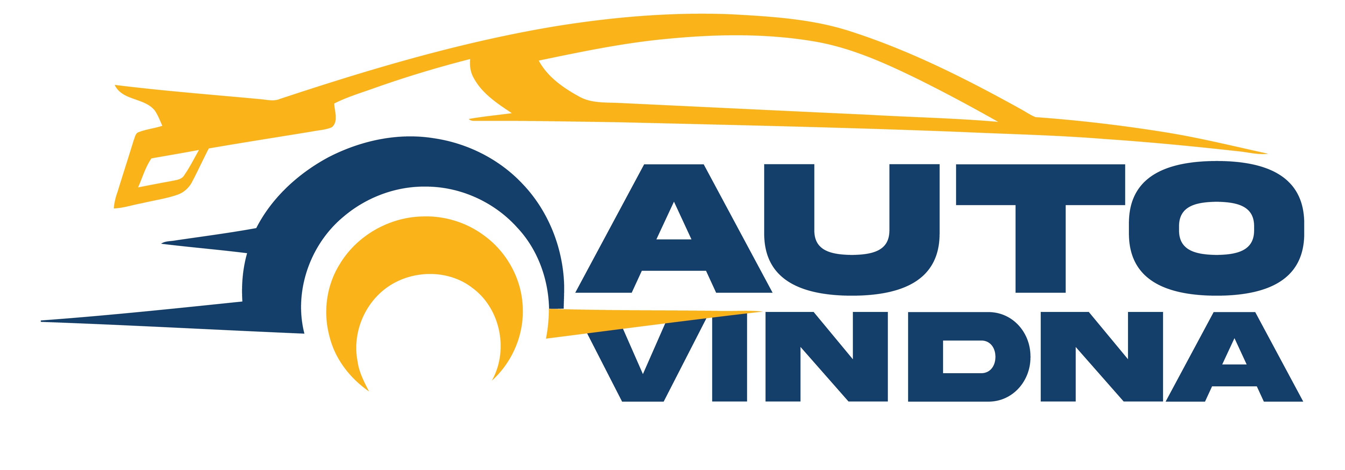 Auto VIN DNA